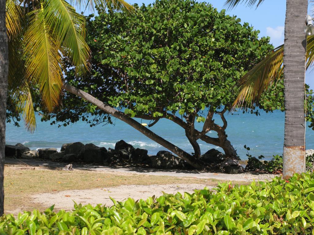 Tamarind Reef Resort Spa & Marina Christiansted Exterior photo