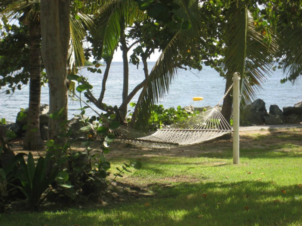 Tamarind Reef Resort Spa & Marina Christiansted Exterior photo