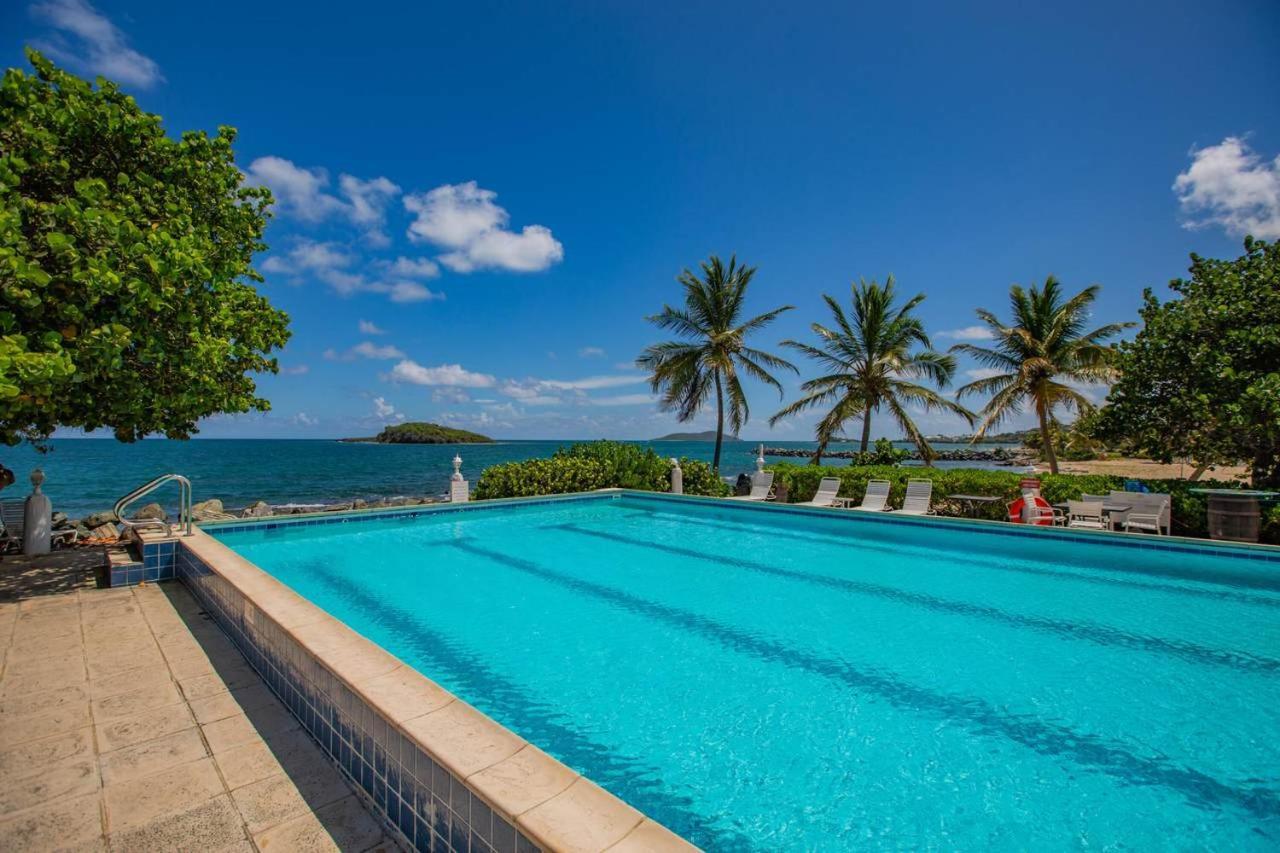 Tamarind Reef Resort Spa & Marina Christiansted Exterior photo